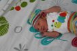 Enzo, 9eme jour (18) (Large)
