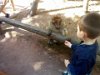 Aout2016 (18) (Large)