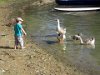 juillet 2016 (16)